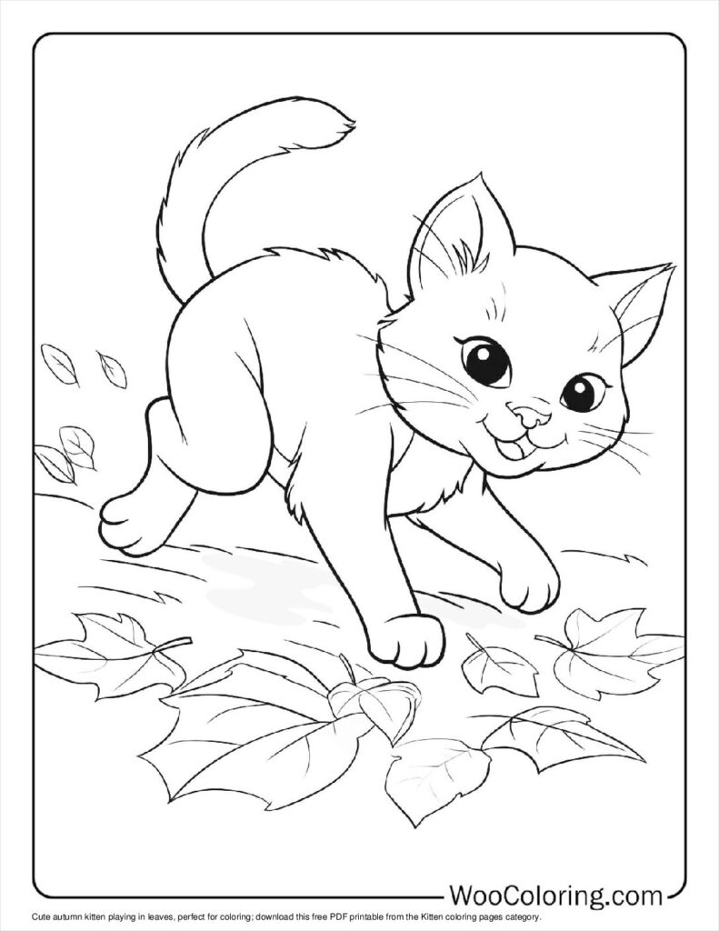 kitten coloring sheets printable kitten coloring sheets printable
