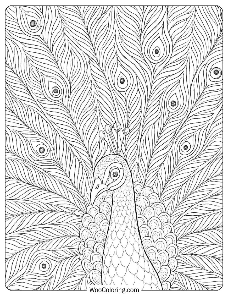 3 000 Adult Coloring Pages Free PDF To Print Woo Coloring