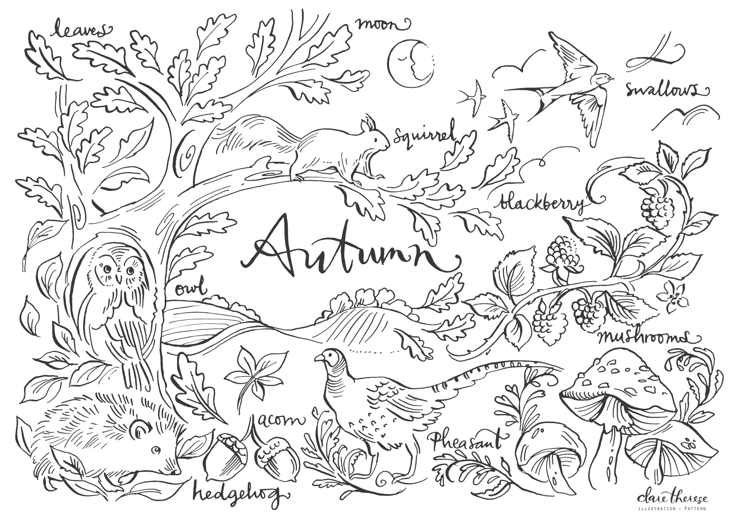 AUTUMN Free Colouring Printable