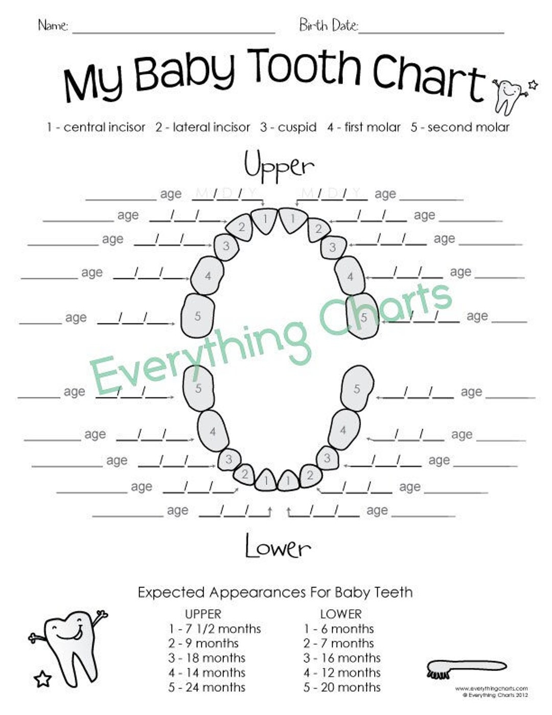 teeth chart printable teeth chart printable