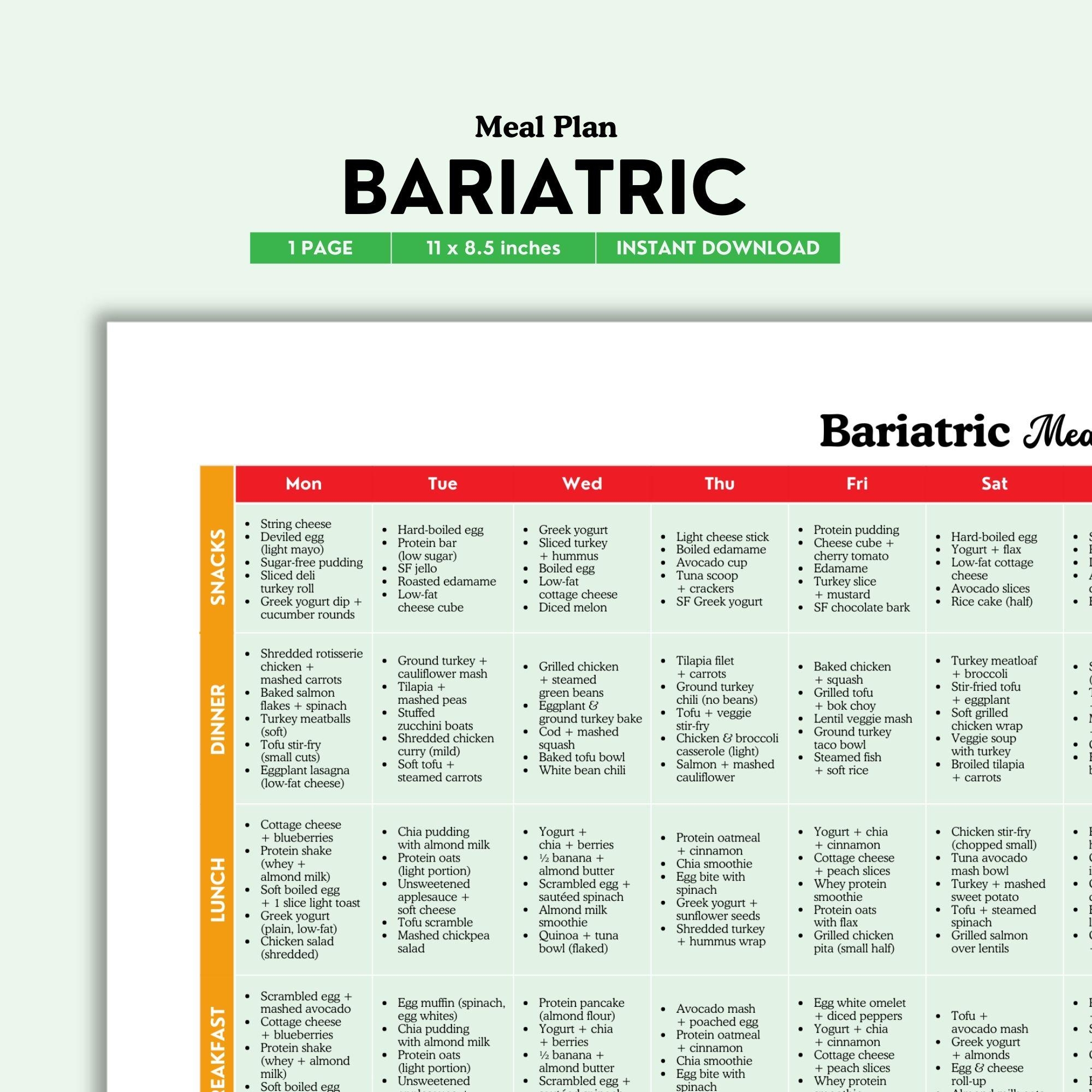 Bariatric Meal Plan color PDF Etsy Finland