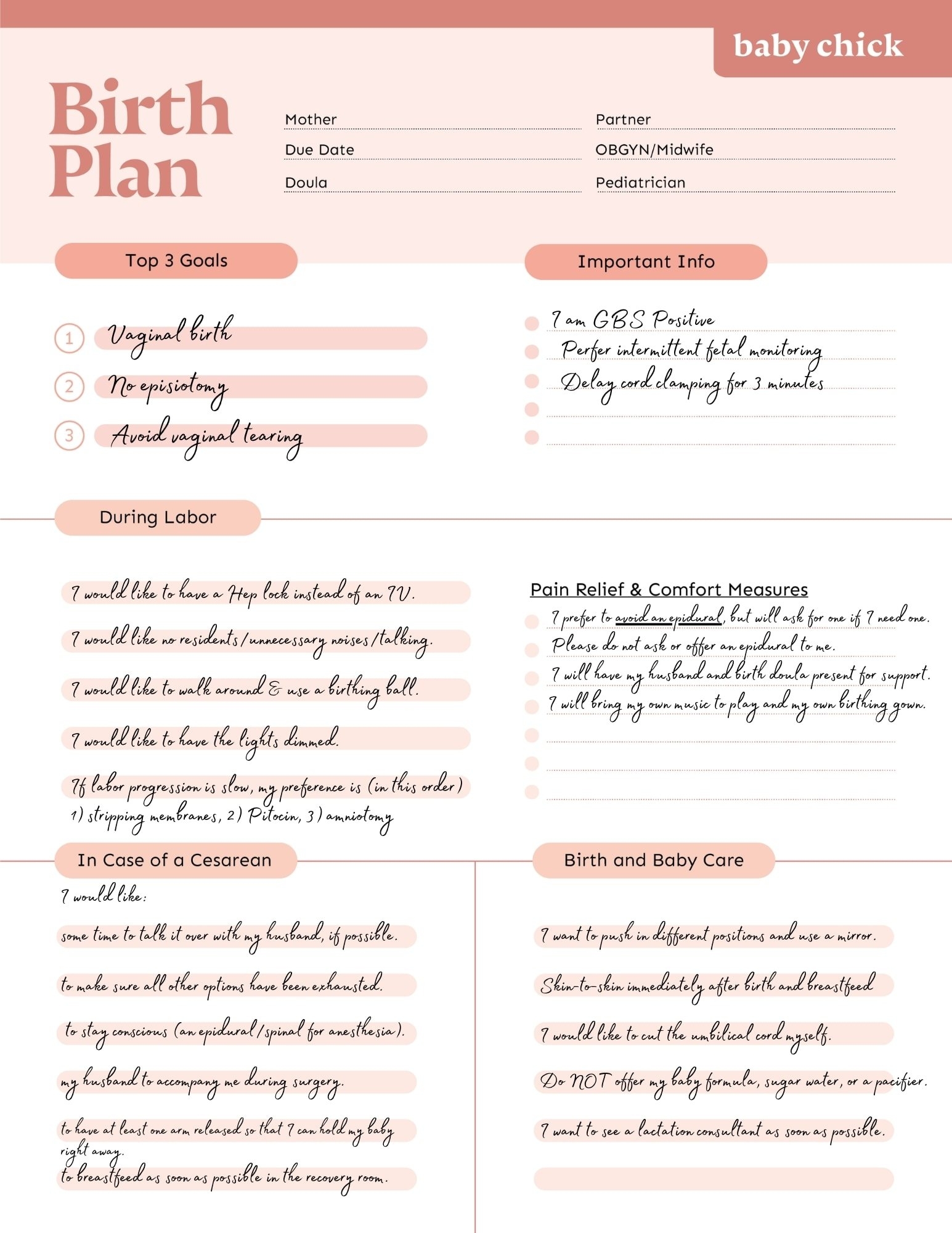 Birth Plan Template And Checklist Baby Chick Birth Plan Template And Checklist Baby Chick