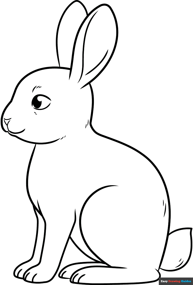 Easy Bunny Outline Coloring Page Easy Drawing Guides