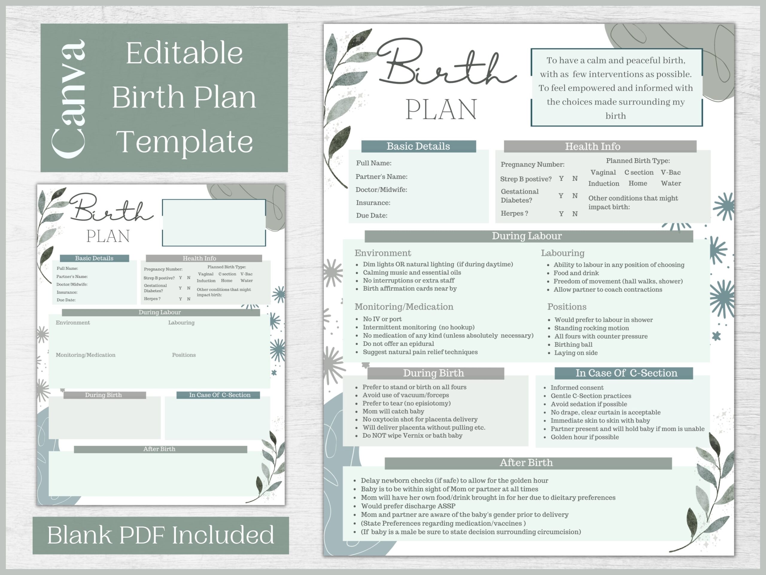 Editable Birth Plan Template Printable Birthing Plan Labour And Delivery Preferences Template Etsy Editable Birth Plan Template Printable Birthing Plan Labour And Delivery Preferences Template Etsy