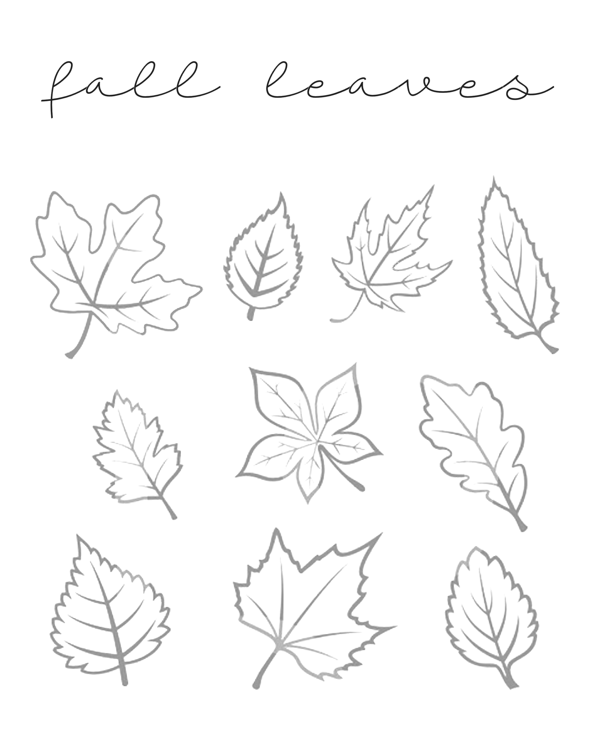Fall Leaves Printable Our Kid Things