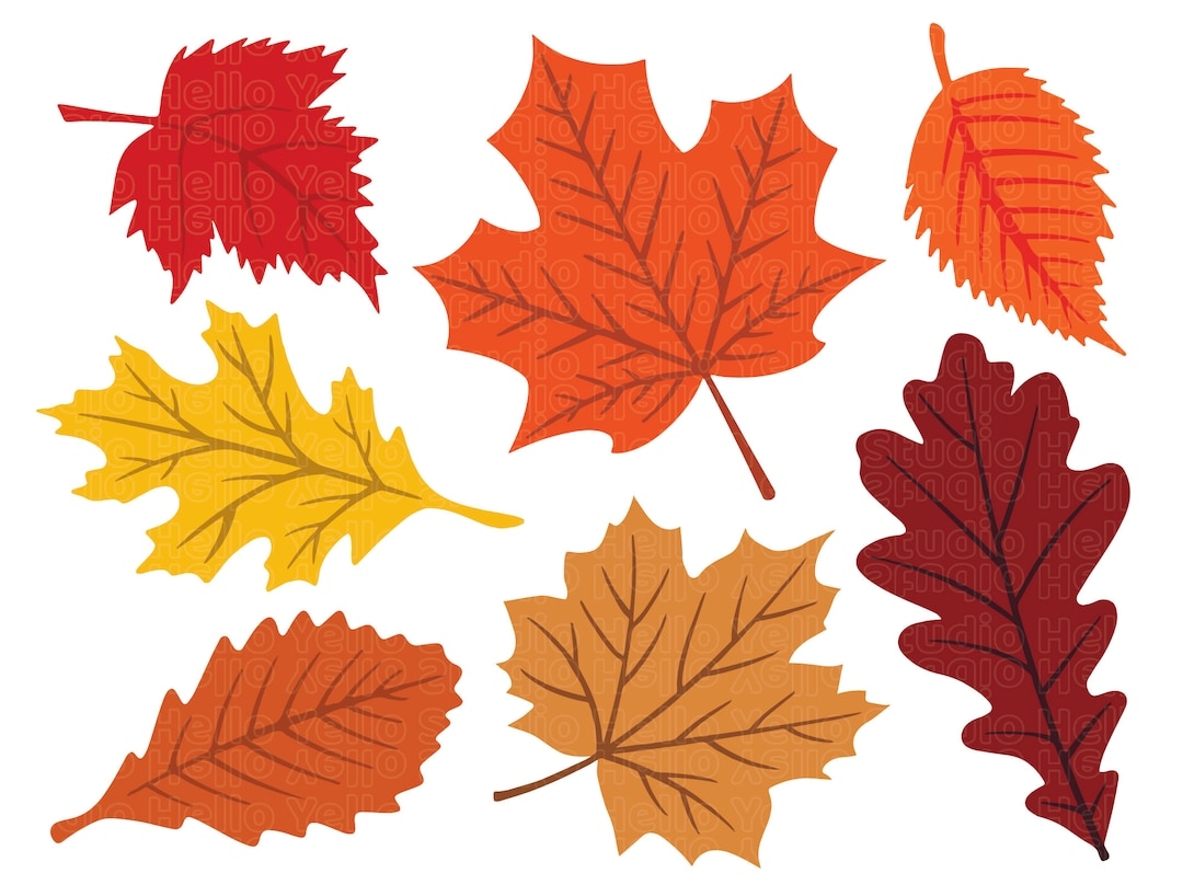 Fall Leaves Svg Fall Svg Fall Leaf Svg Bundle Fall Png Dxf Clipart Cut Files For Cricut Glowforge Files Silhouette Halloween Svg Etsy Sweden Fall Leaves Svg Fall Svg Fall Leaf Svg Bundle Fall Png Dxf Clipart Cut Files For Cricut Glowforge Files Silhouette Halloween Svg Etsy Sweden