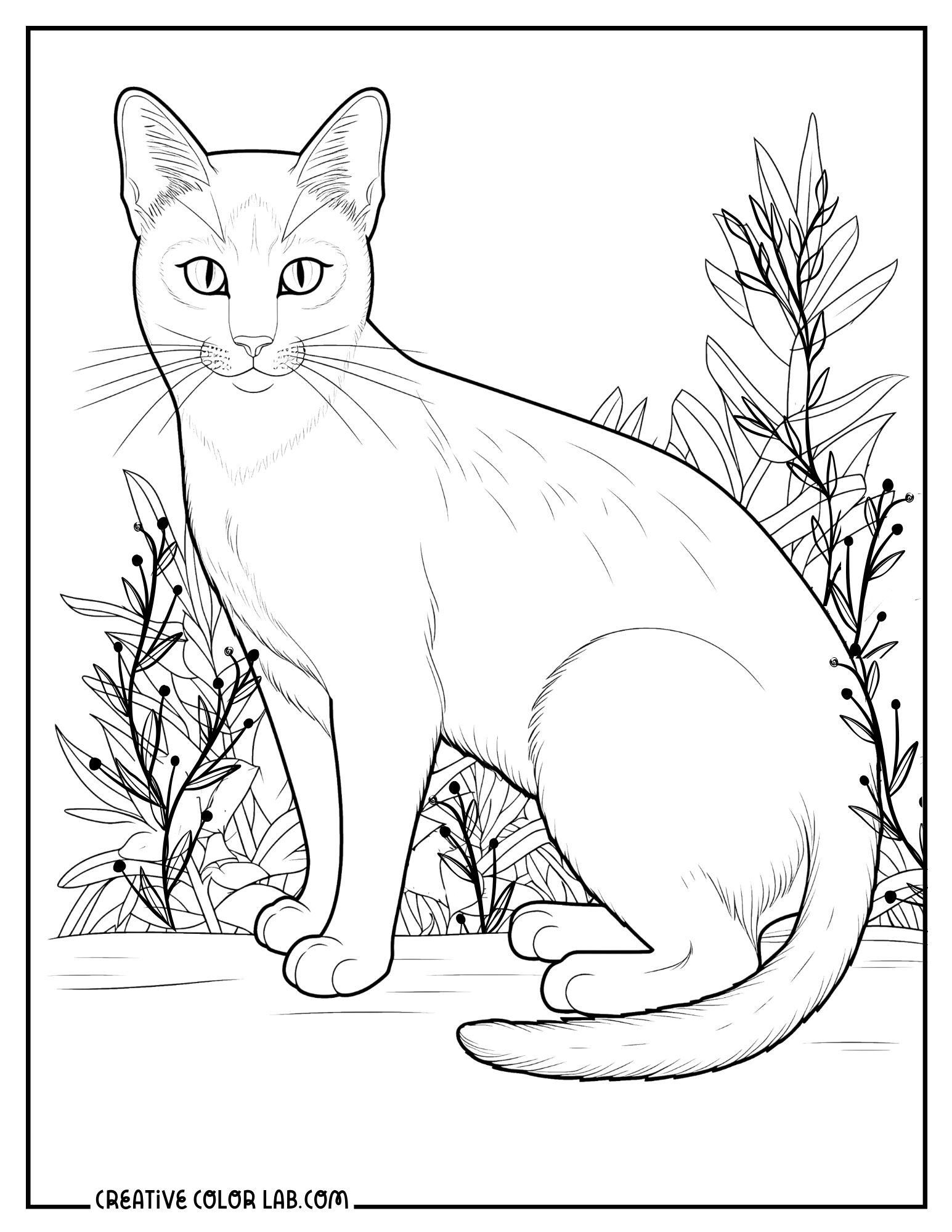 printable cat pictures to color printable cat pictures to color