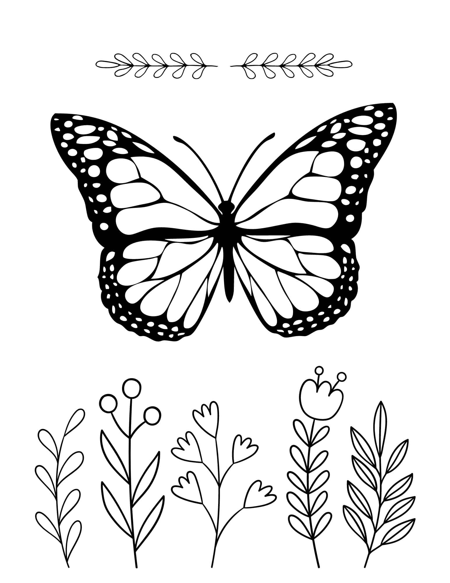 free butterfly coloring pages printable