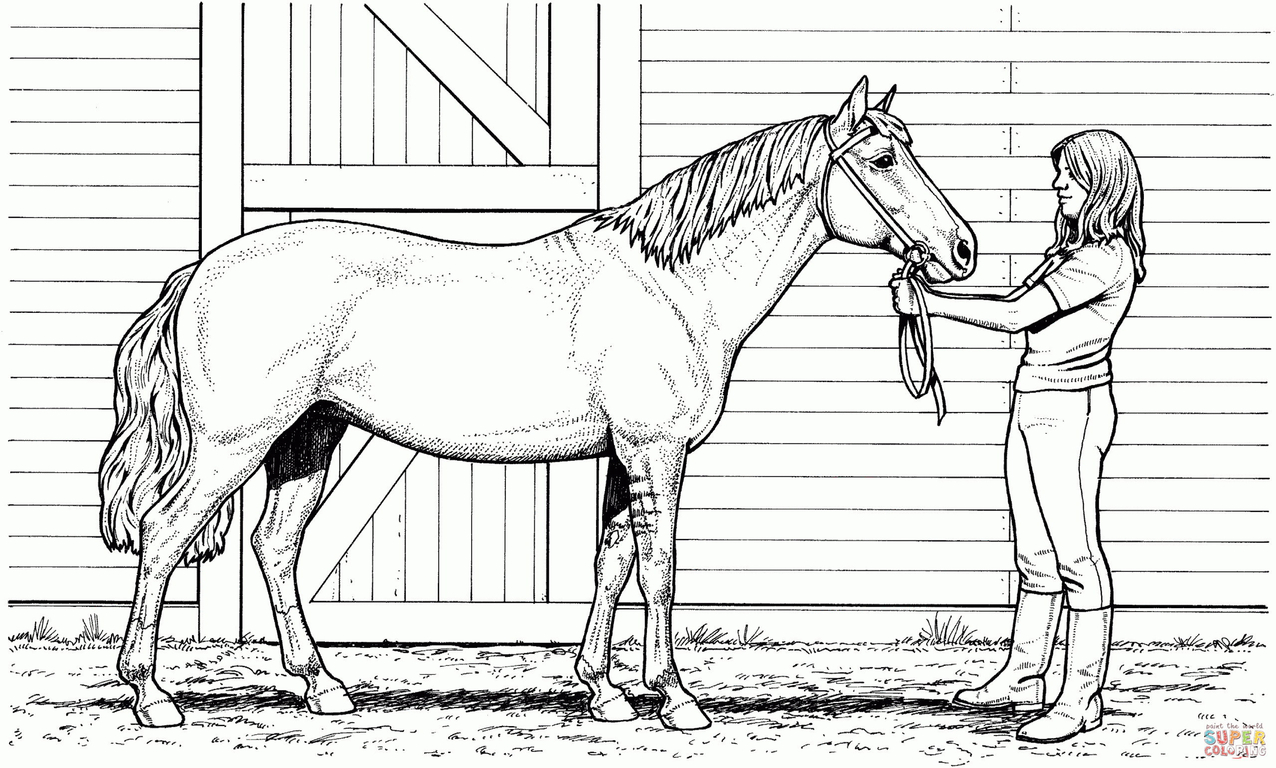 horse colouring pictures printable horse colouring pictures printable