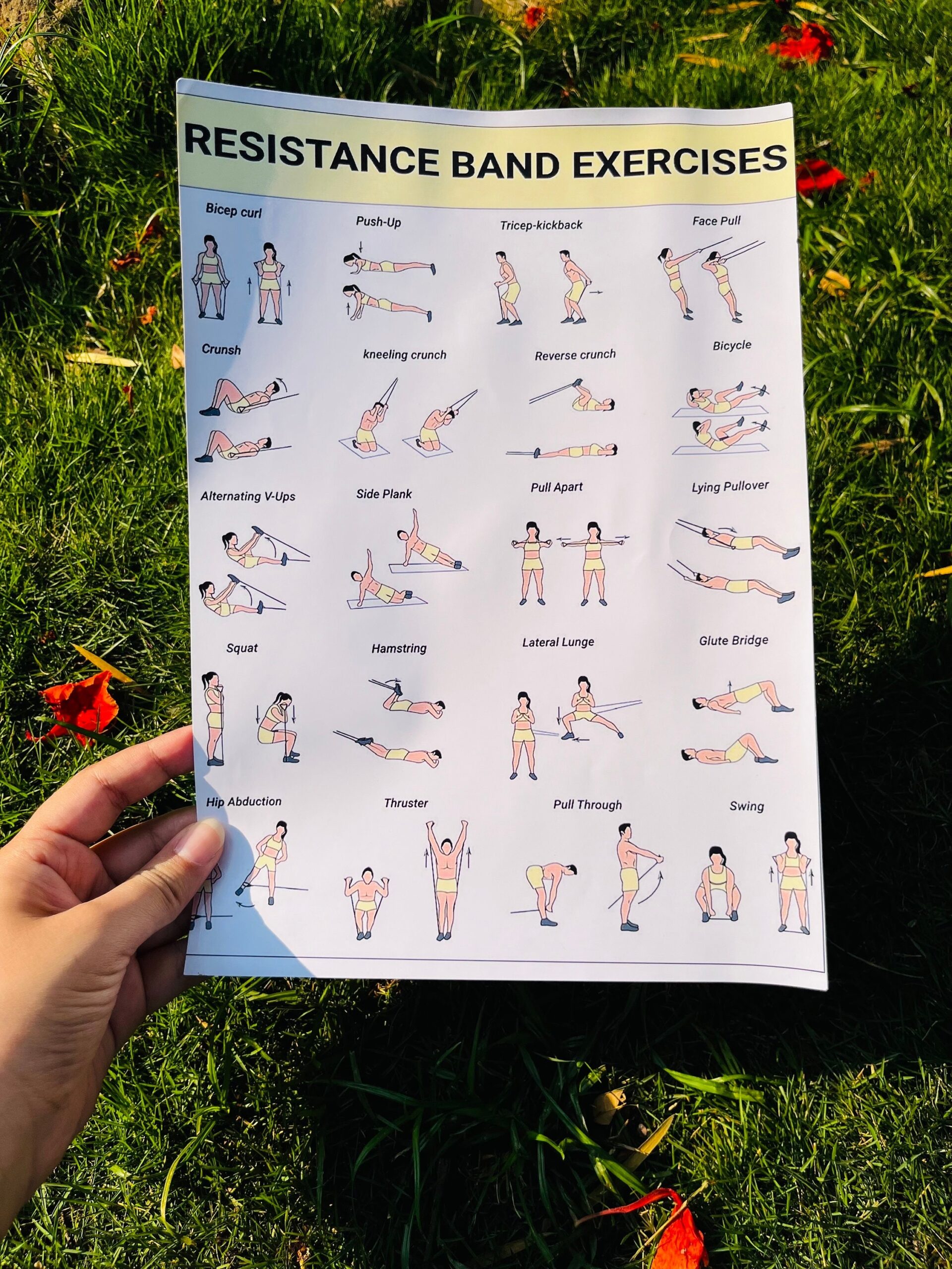 Resistance Band Workout Poster Exercise Chart digital Download Etsy