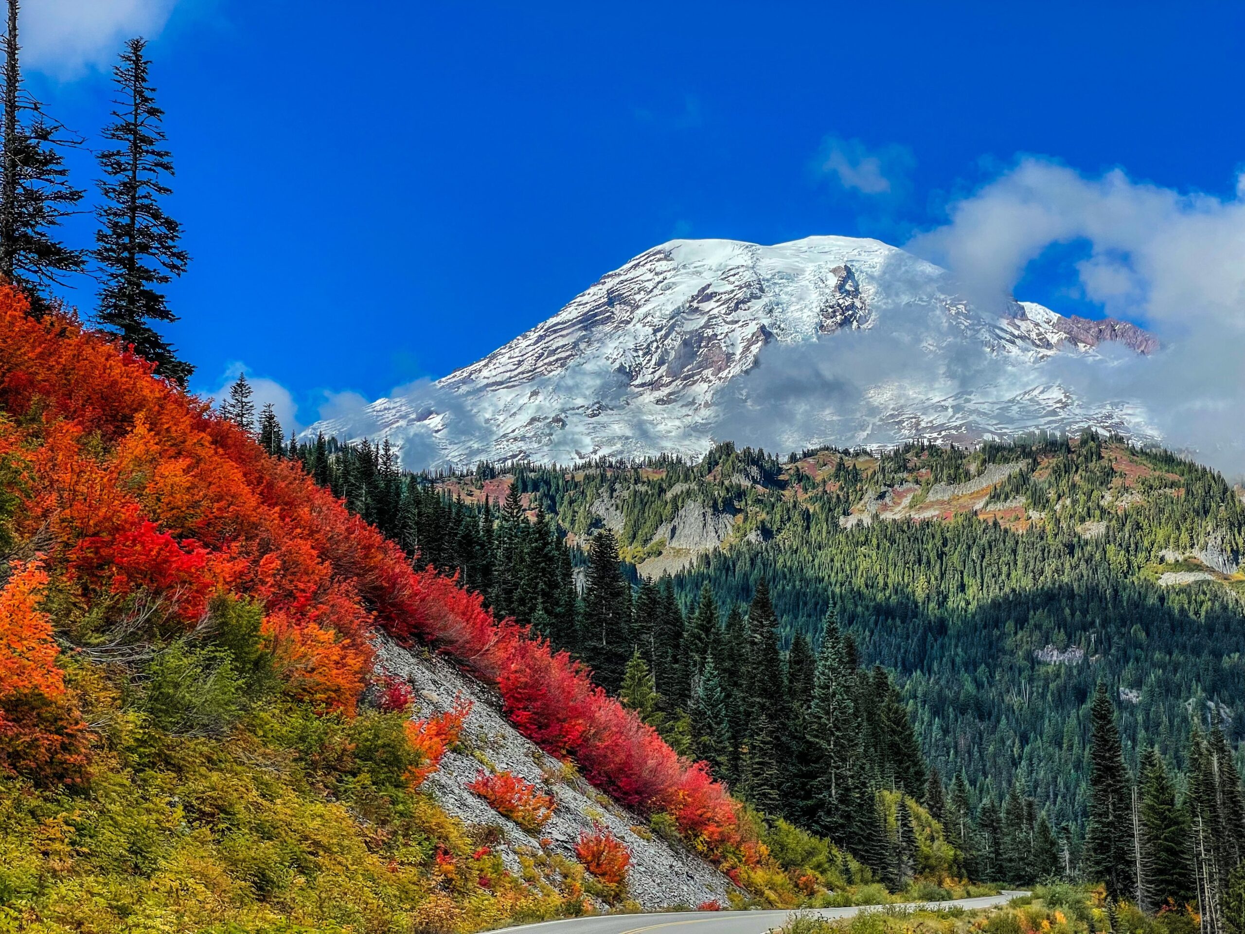 Mount Rainier Travel Guide 2026 Free PDF To Print