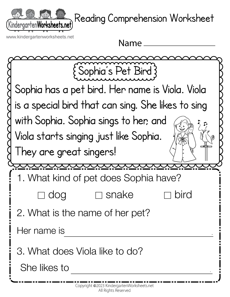 Reading Comprehension Worksheet Free Printable PDF